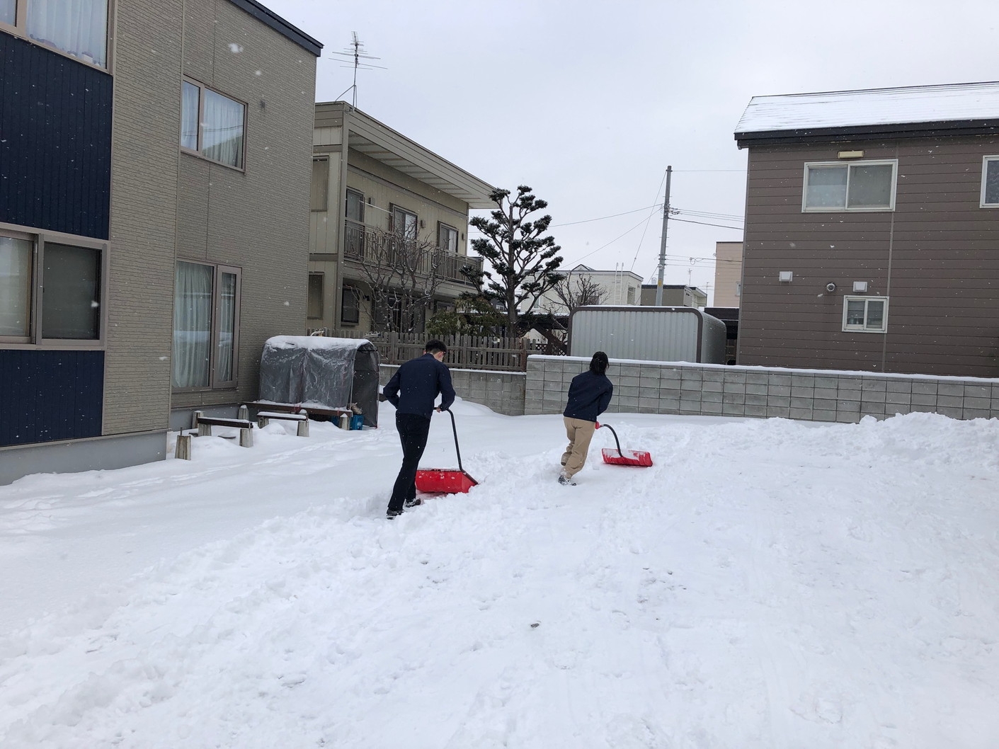 頑張れ新人さん♪.jpg